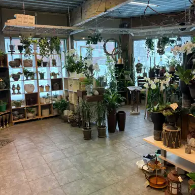 En butiksmiljö fylld med gröna växter, orkidéer och krukor i olika storlekar och stilar. Hyllor och bord visar upp inredningsdetaljer och dekorationer, och fönstren släpper in naturligt ljus som framhäver växternas livfullhet. En harmonisk och inspirerande miljö för växt- och inredningsälskare.
